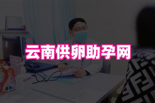 123试管孕网 1